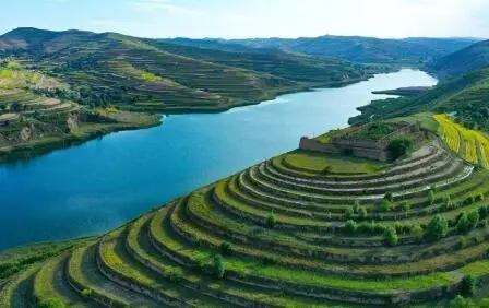 重點行業VOCs治理“一企一策”!寧夏空氣質量持續改善行動實施方案公開征求意見