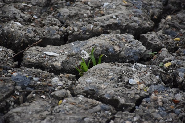 和田地區(qū)全域開(kāi)展危廢規(guī)范化評(píng)估 守護(hù)生態(tài)環(huán)境安全