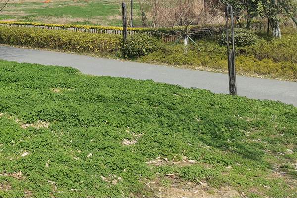 筑牢質(zhì)量“安全線”！珠海市生態(tài)環(huán)境局等四部門(mén)加強(qiáng)建設(shè)用地土壤環(huán)境聯(lián)動(dòng)監(jiān)管服務(wù)