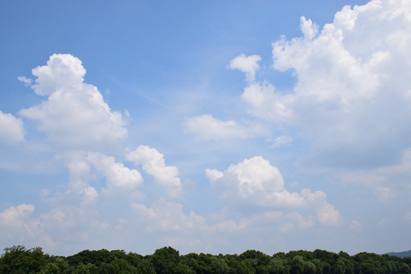 昌吉市大氣污染防治“提級(jí)管理”見(jiàn)實(shí)效 藍(lán)天保衛(wèi)戰(zhàn)再添新動(dòng)能