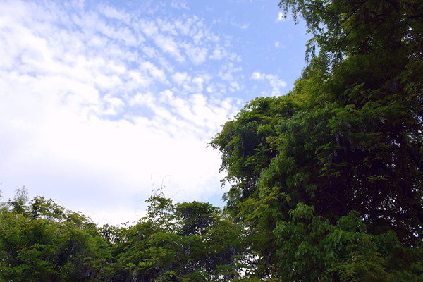 生態(tài)環(huán)境部部長(zhǎng)黃潤(rùn)秋出席甲烷與其他非二氧化碳溫室氣體峰會(huì)并會(huì)見(jiàn)外方高級(jí)代表